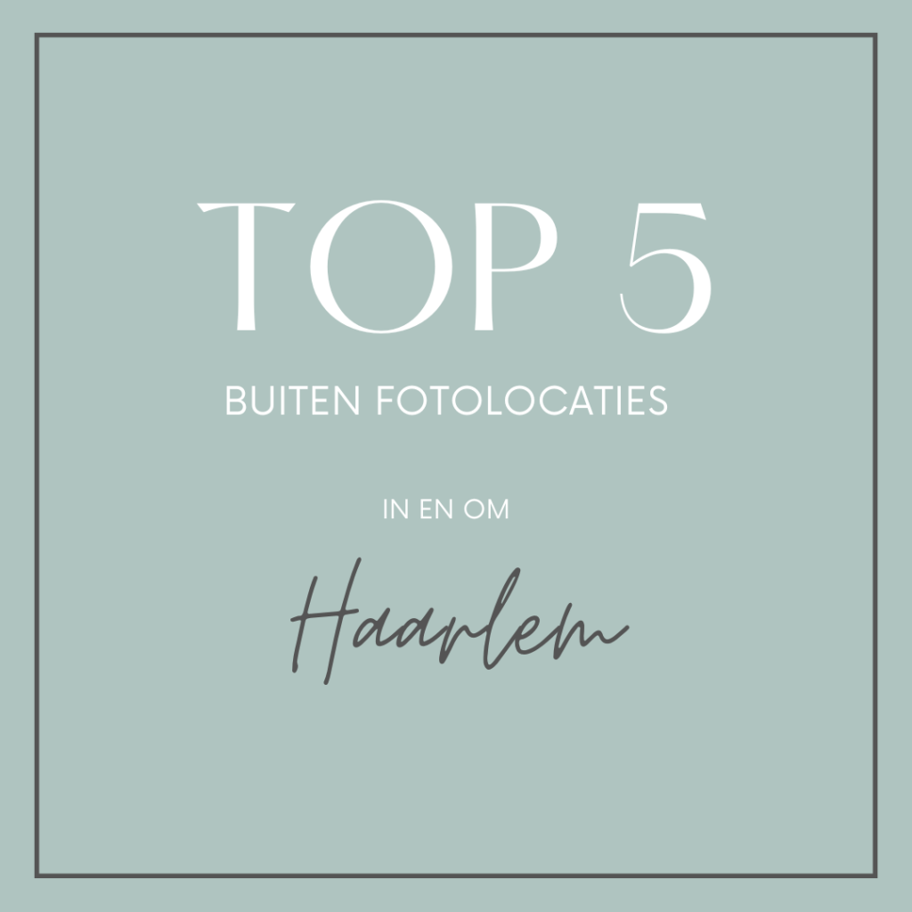 Lees meer over het artikel Top 5 buitenlocaties voor trouwfoto’s in de omgeving van Haarlem